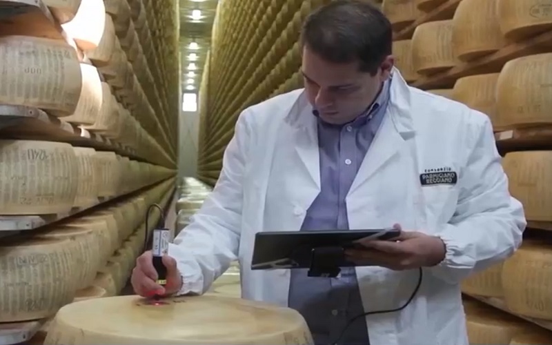 Gắn chip cho phô mai để chống hàng giả Gắn chip cho phô mai để chống hàng giả