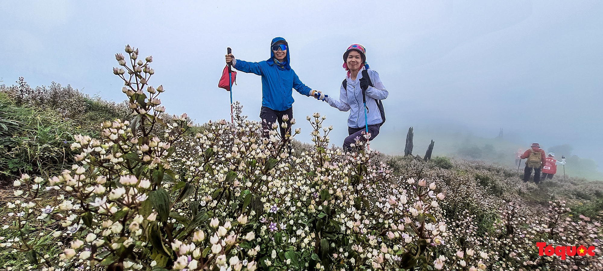 Hơn 100 nhà báo, phóng viên chinh phục đỉnh Tà Chì Nhù ở độ cao 2927m - Ảnh 13. Hơn 100 nhà báo, phóng viên chinh phục đỉnh Tà Chì Nhù ở độ cao 2927m - Ảnh 13.