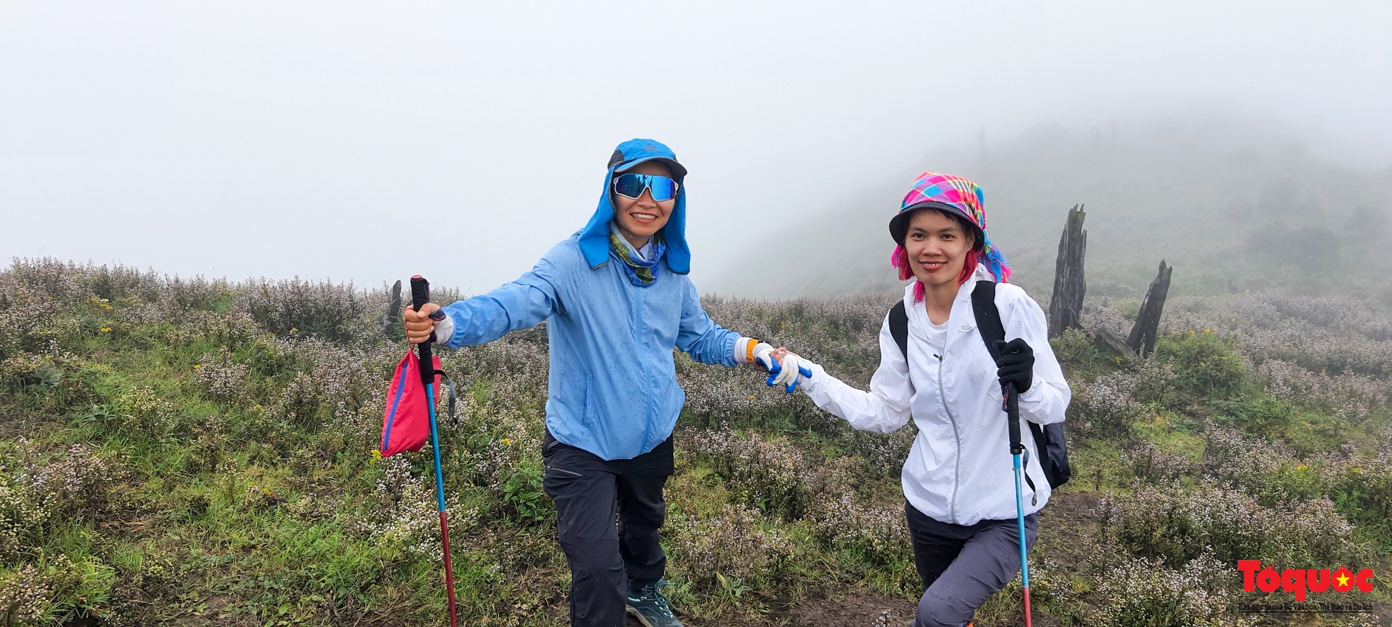 Hơn 100 nhà báo, phóng viên chinh phục đỉnh Tà Chì Nhù ở độ cao 2927m - Ảnh 14. Hơn 100 nhà báo, phóng viên chinh phục đỉnh Tà Chì Nhù ở độ cao 2927m - Ảnh 14.