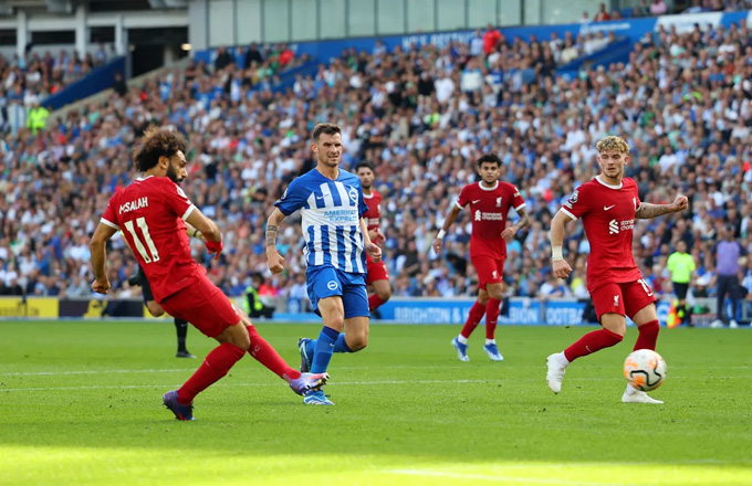 Brighton chia điểm kịch tính trước Liverpool