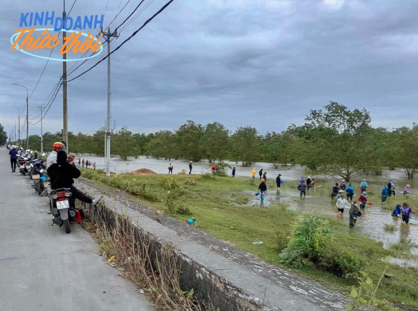 Huy động gia đình lội nước, chịu lạnh, bắt loài đặc sản "lộc trời" thu về cả triệu đồng/ngày