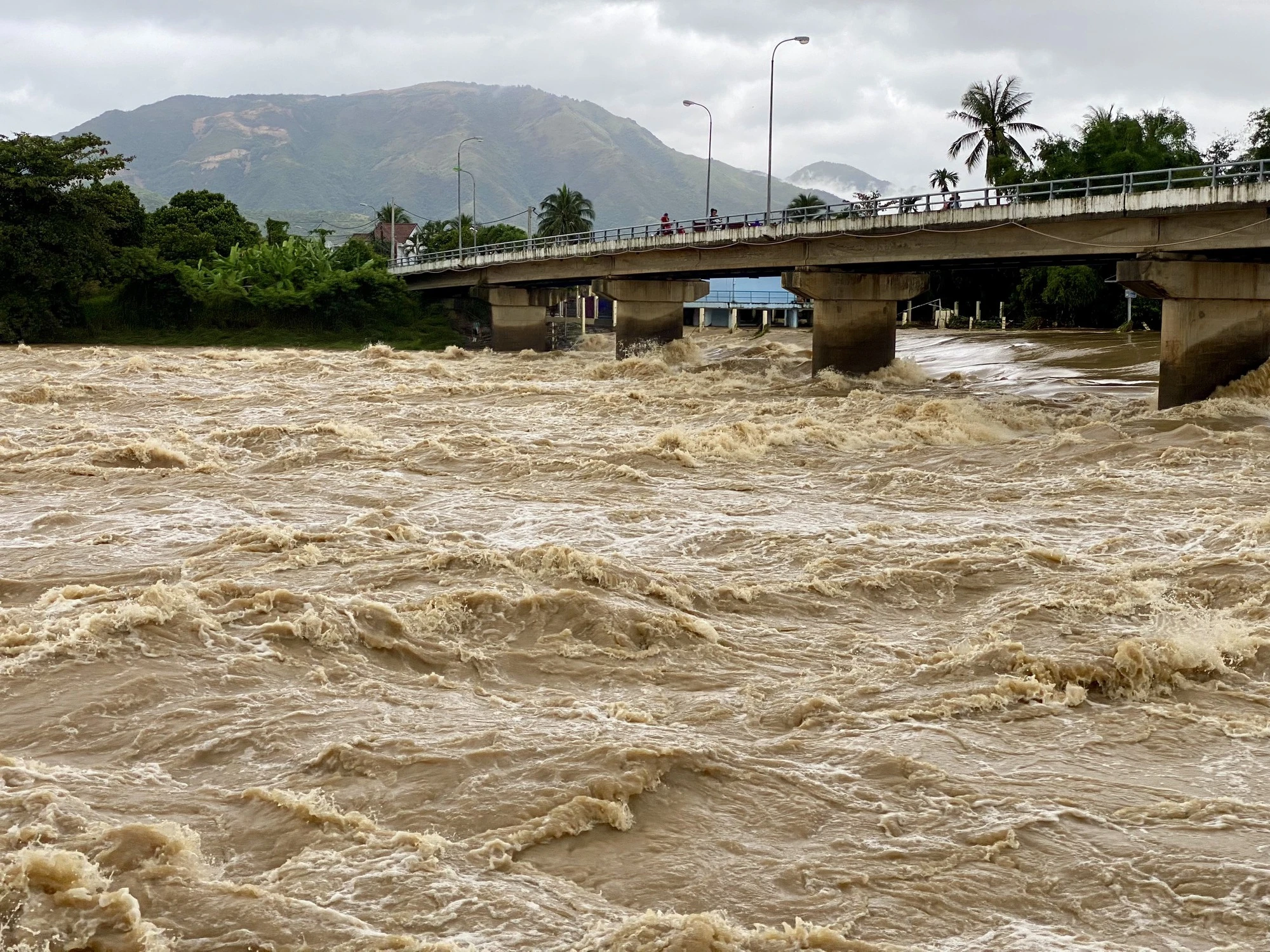 TP.Nha Trang dễ ngập, Khánh Hòa sẽ lắp camera giám sát xả lũ tại 8 hồ chứa - Ảnh 2.