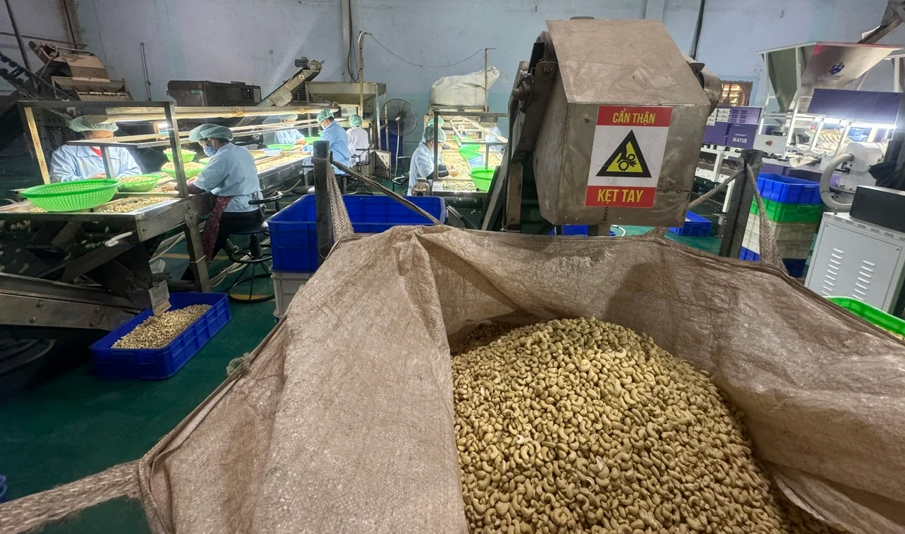Vì sao "vua" hạt điều Long Sơn muốn bán công ty? - Ảnh 2. Vì sao "vua" hạt điều Long Sơn muốn bán công ty? - Ảnh 2.