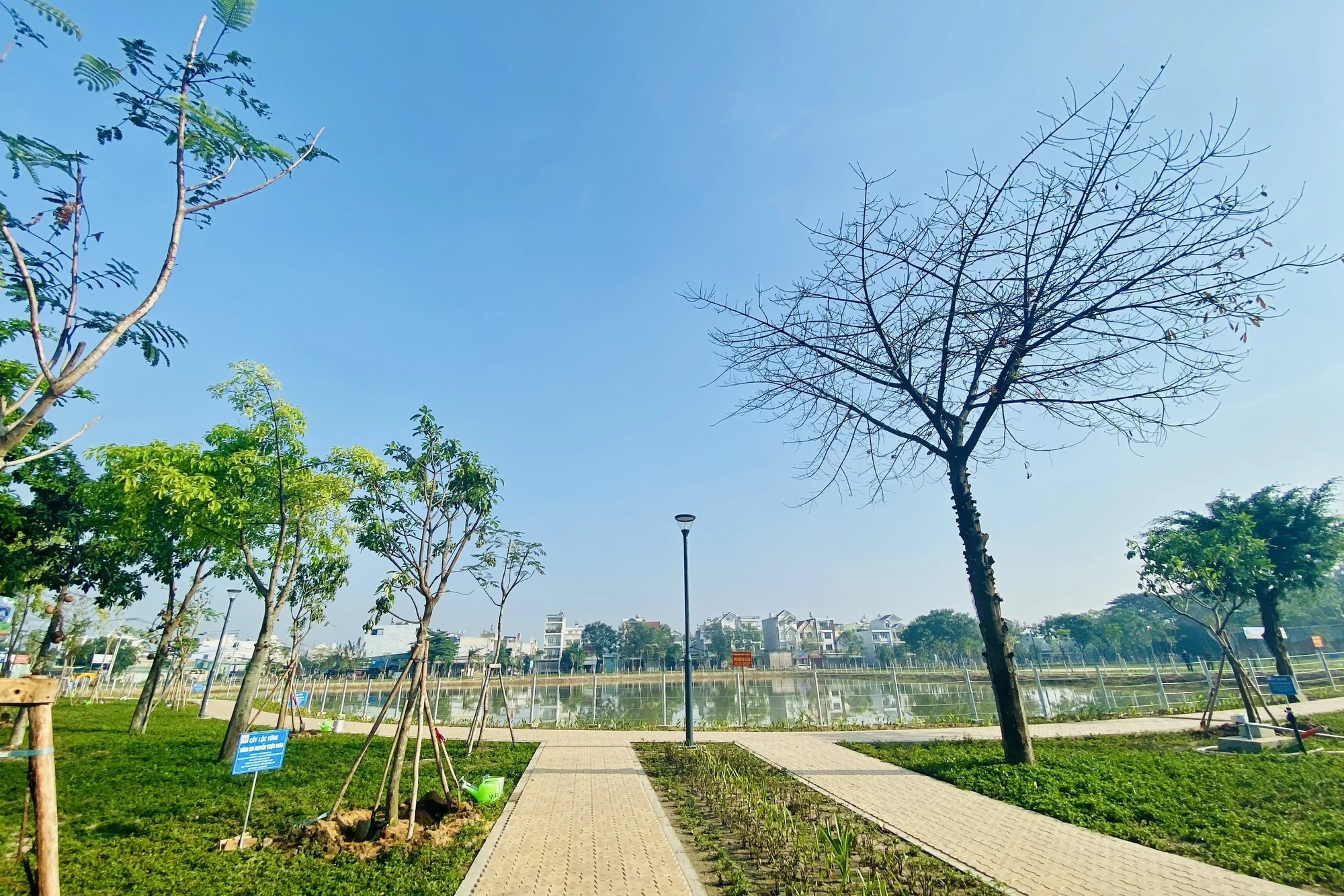 Bãi trung chuyển rác 'ám ảnh' hơn 20 năm ở Q.Bình Tân thành công viên cây xanh - Ảnh 1. Bãi trung chuyển rác 'ám ảnh' hơn 20 năm ở Q.Bình Tân thành công viên cây xanh - Ảnh 1.
