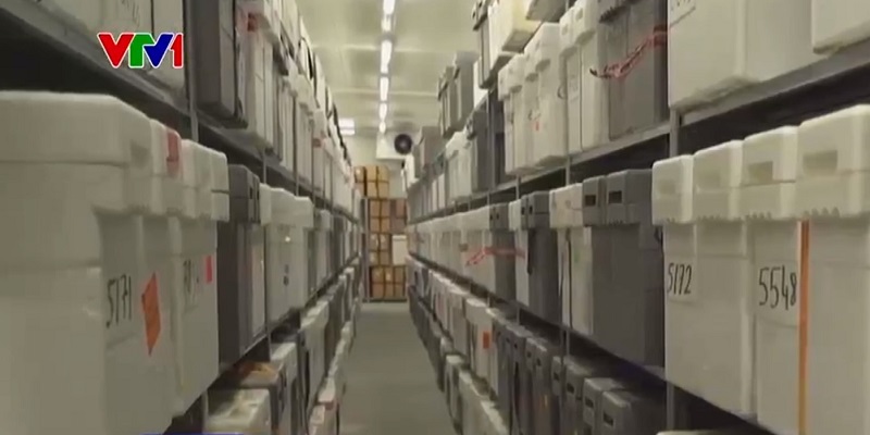 Khám phá kho lưu trữ lớn nhất thế giới về lõi băng Khám phá kho lưu trữ lớn nhất thế giới về lõi băng
