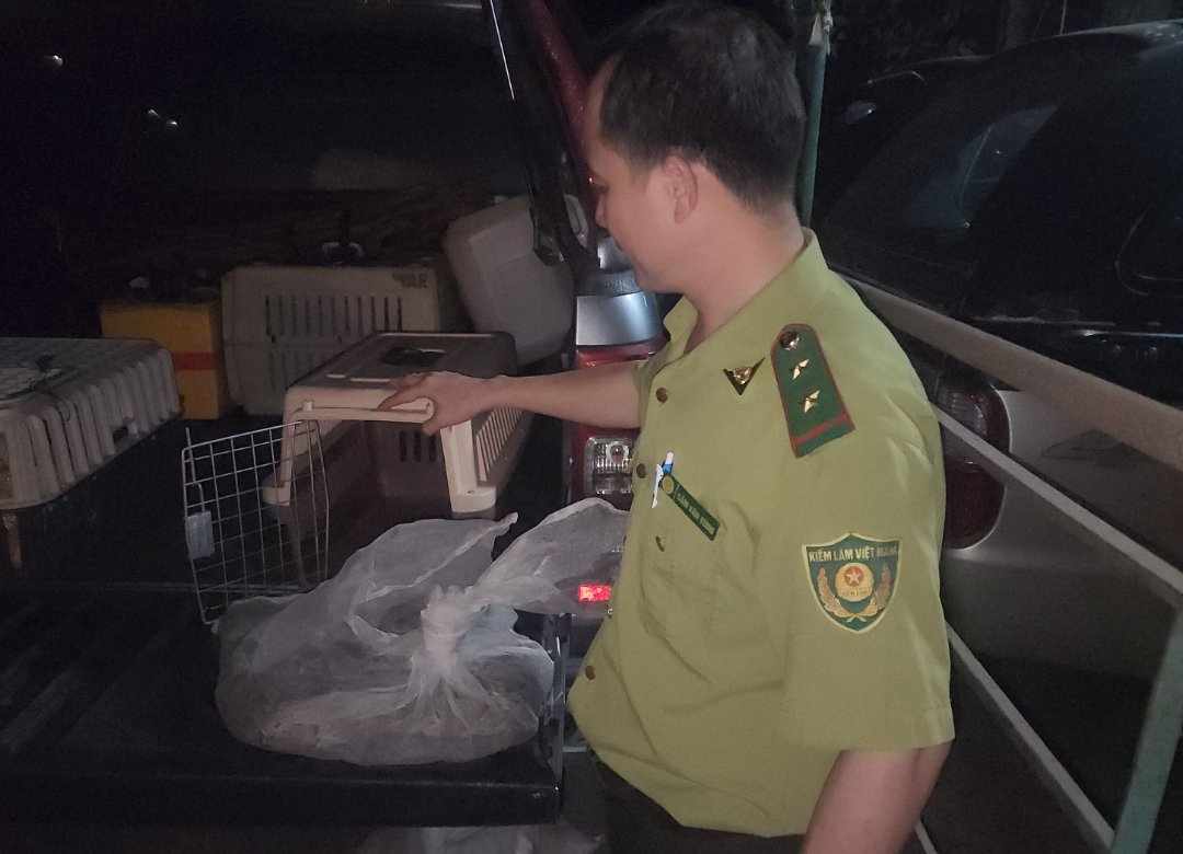 Phát hiện trăn đất dài 1,7 m bò vào khuôn viên chung cư - Ảnh 1. Phát hiện trăn đất dài 1,7 m bò vào khuôn viên chung cư - Ảnh 1.
