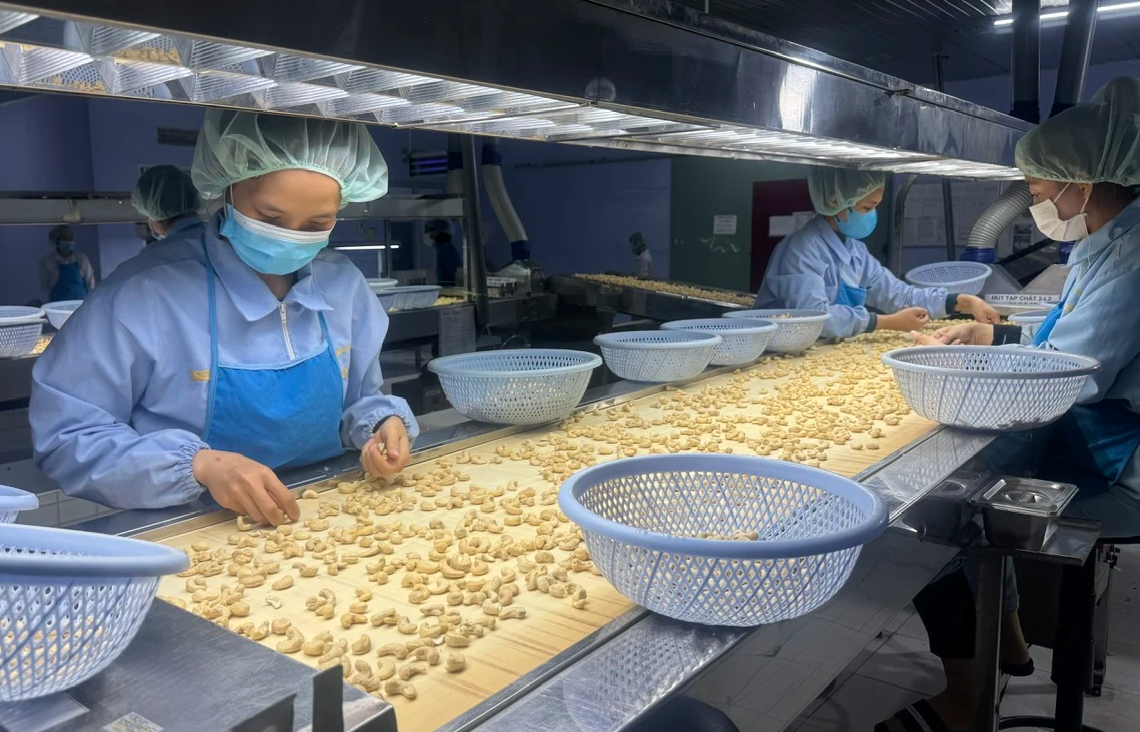 Vì sao "vua" hạt điều Long Sơn muốn bán công ty? - Ảnh 1. Vì sao "vua" hạt điều Long Sơn muốn bán công ty? - Ảnh 1.