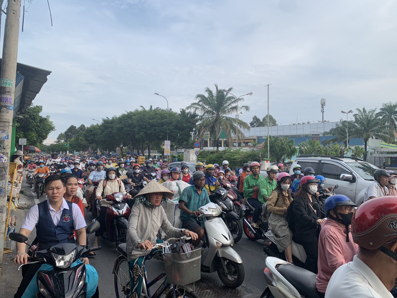 Cây xanh bật gốc ngã đè nhiều xe máy ở quán nước - Ảnh 2. Cây xanh bật gốc ngã đè nhiều xe máy ở quán nước - Ảnh 2.