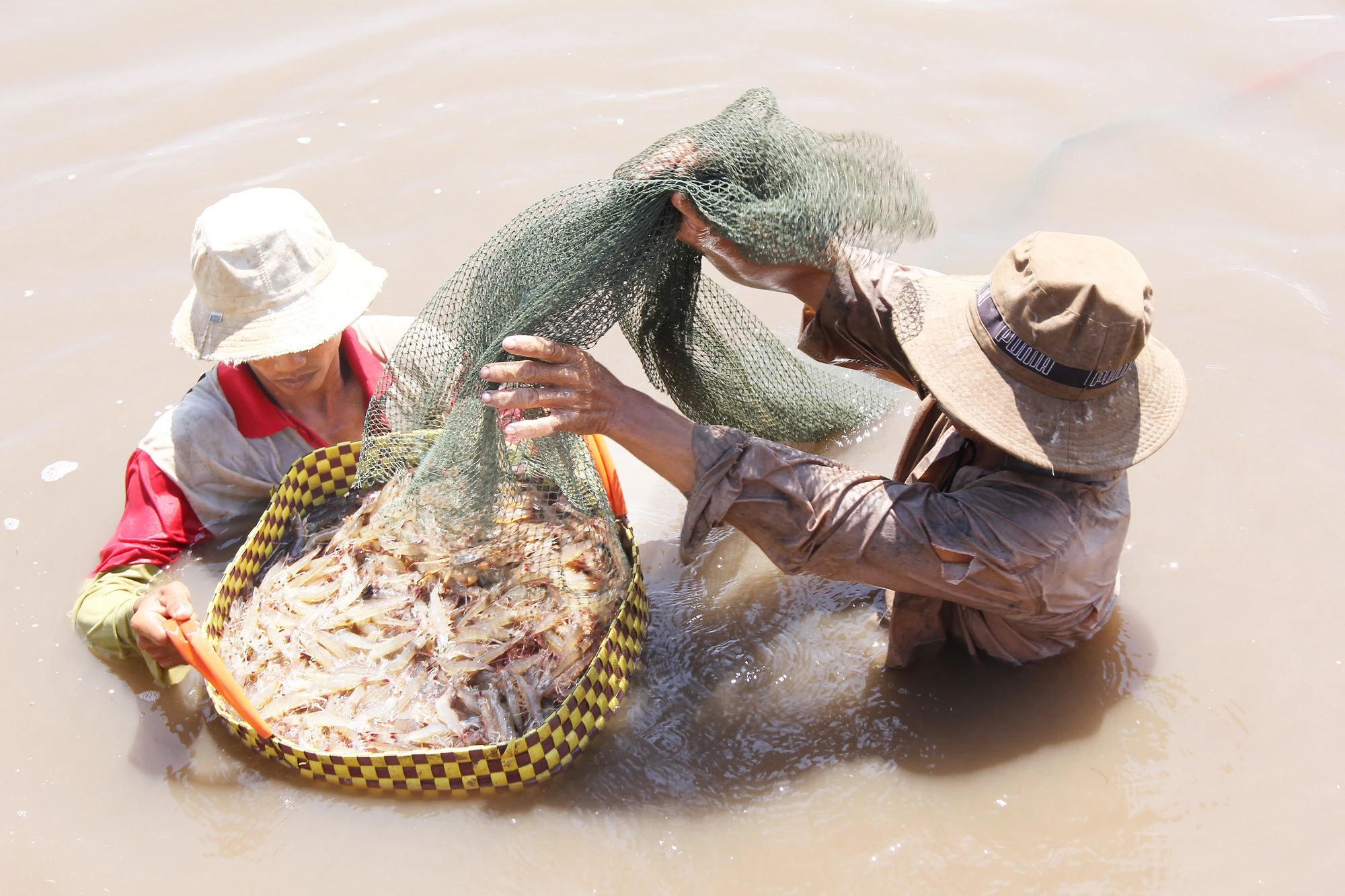 “Nông dân tỷ phú” hỗ trợ nông dân nghèo hơn 3 tỷ đồng - Ảnh 2.