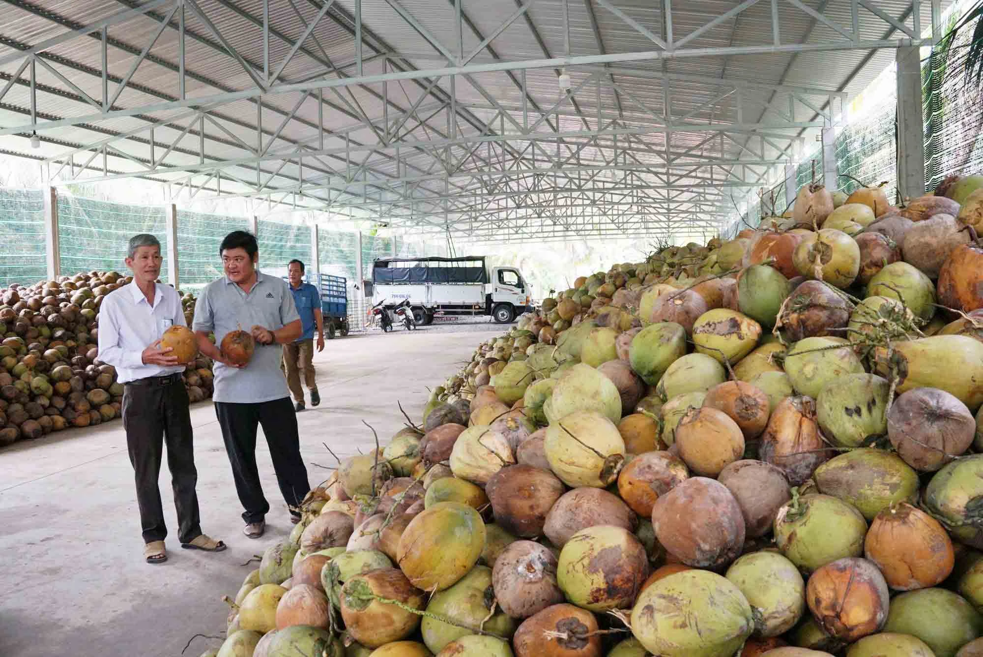 Triển vọng thêm hàng tỉ USD từ xuất khẩu sang Trung Quốc  - Ảnh 2.