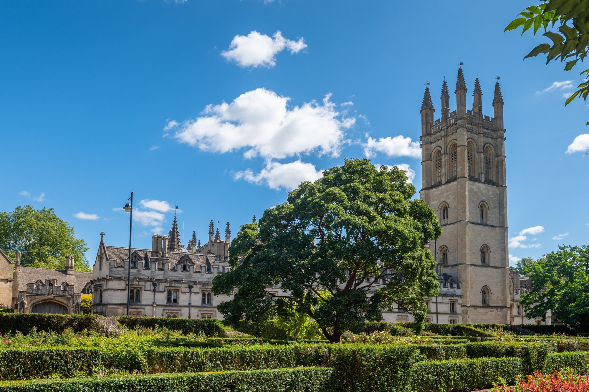 Đối với du học sinh, cơ hội ở lại Anh làm việc sẽ khó hơn trước - Ảnh 2.