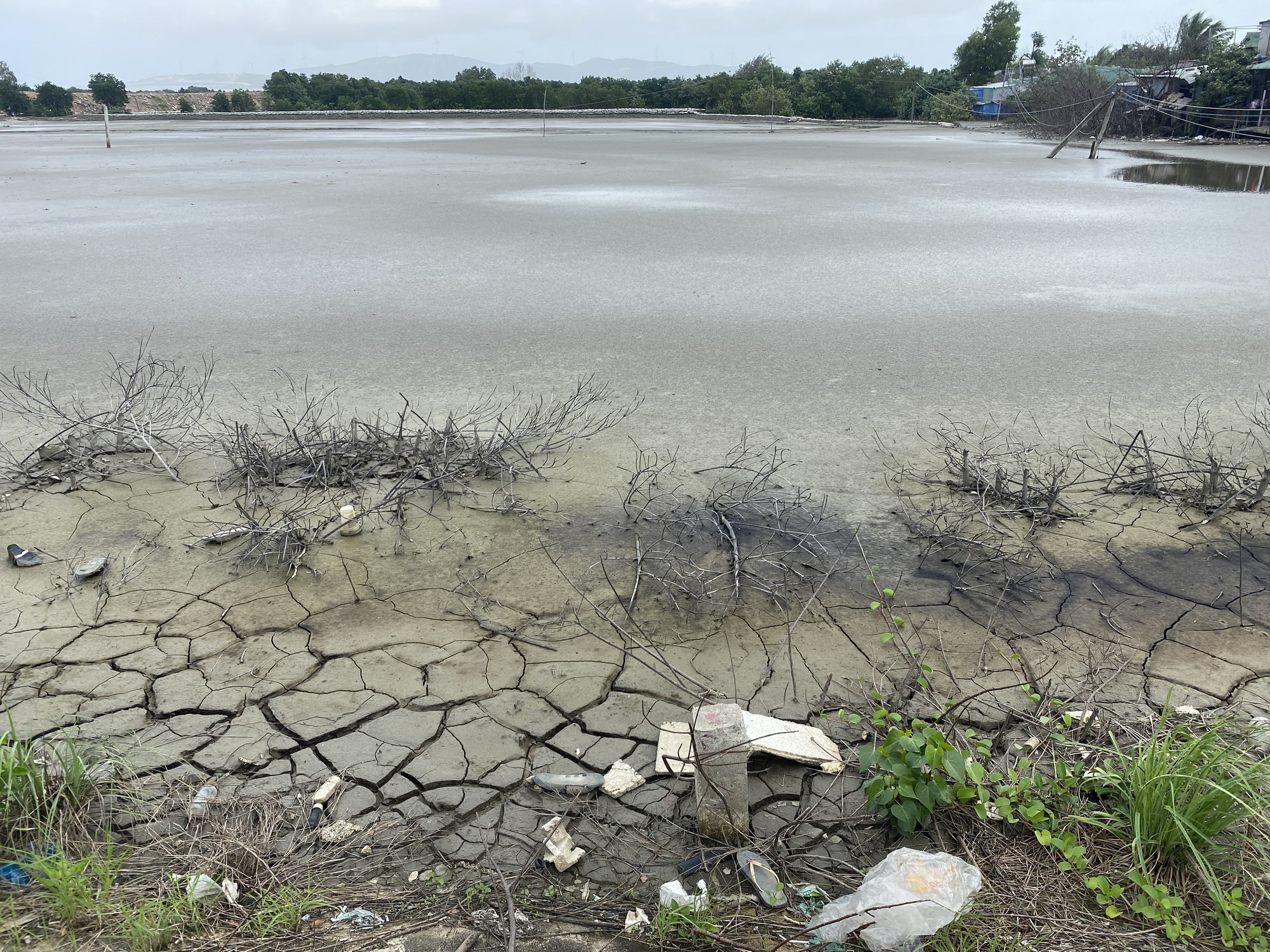 Tắc nghẽn dòng chảy vì bùn đất nạo vét cảng Quy Nhơn - Ảnh 1.