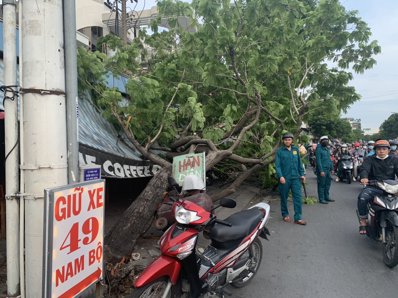 Cây xanh bật gốc ngã đè nhiều xe máy ở quán nước - Ảnh 1. Cây xanh bật gốc ngã đè nhiều xe máy ở quán nước - Ảnh 1.