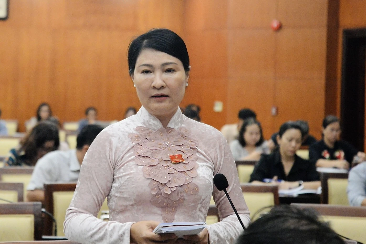 Vì sao chưa trình chủ trương xây cầu Cần Giờ ở kỳ họp HĐND này? - Ảnh 1. Vì sao chưa trình chủ trương xây cầu Cần Giờ ở kỳ họp HĐND này? - Ảnh 1.