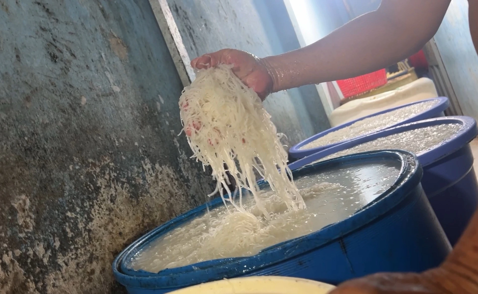 Khiếp hãi bì heo bẩn ở TP.HCM- Ảnh 5. Khiếp hãi bì heo bẩn ở TP.HCM- Ảnh 5.