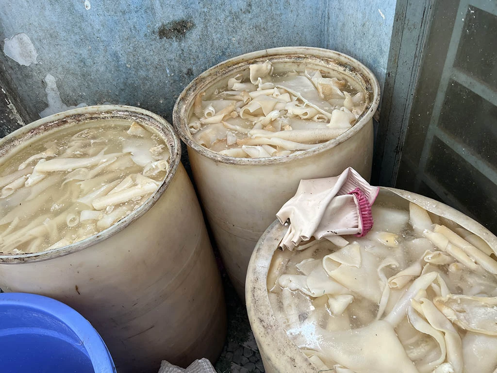 Khiếp hãi bì heo bẩn ở TP.HCM: Đột nhập cơ sở chế biến- Ảnh 6.