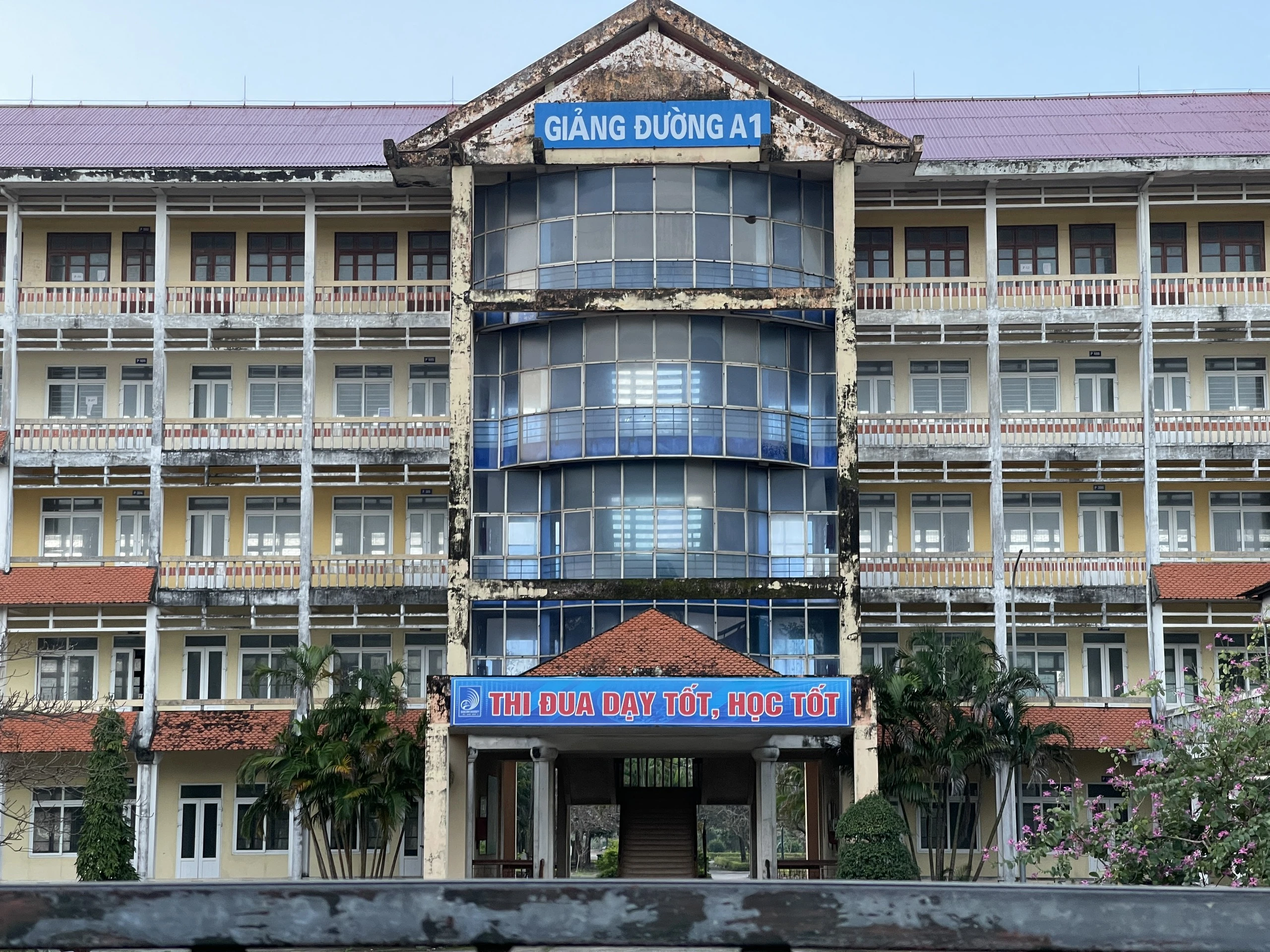 Mạng lưới đại học: Nhiều nhưng yếu- Ảnh 4.