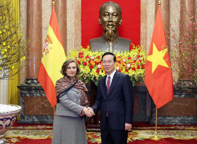 Chủ tịch nước Võ Văn Thưởng tiếp các đại sứ trình quốc thư- Ảnh 2.