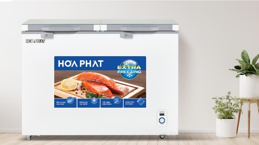 3 mẫu tủ đông bền bỉ, tiết kiệm điện, giá phù hợp hộ kinh doanh hải sản- Ảnh 2.