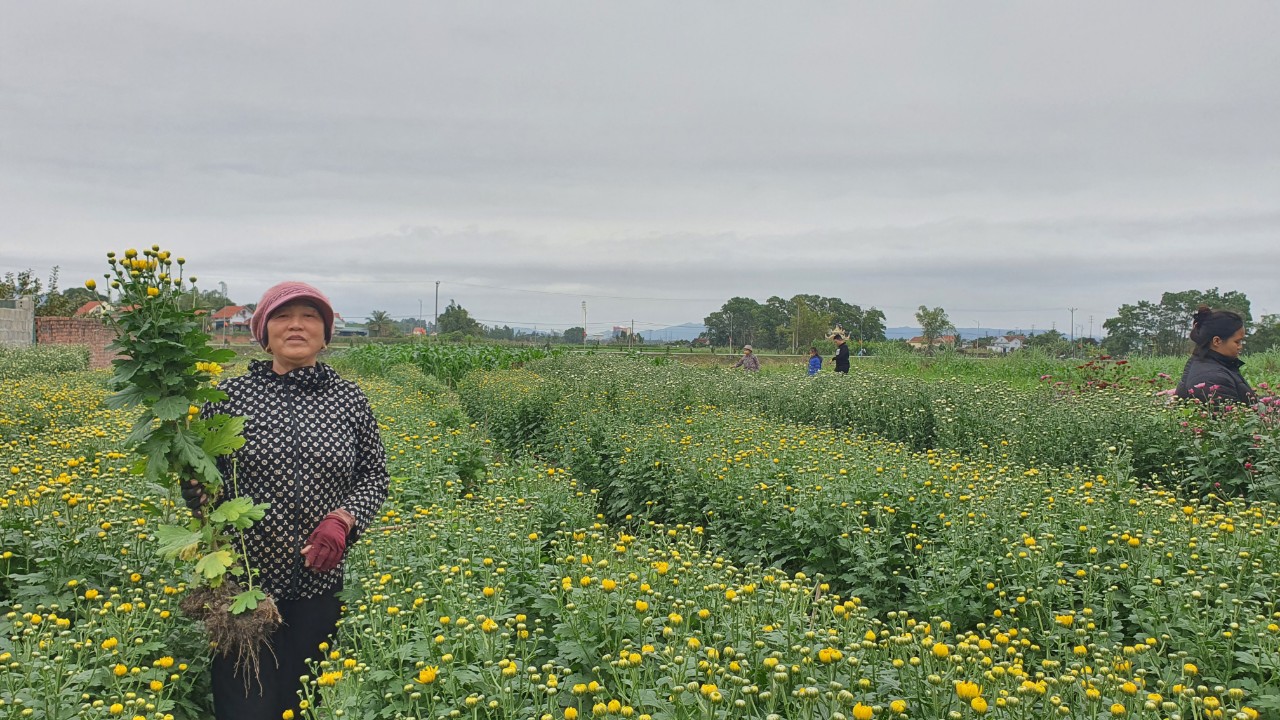 Về quê đi chợ tết chuyển khoản- Ảnh 4.
