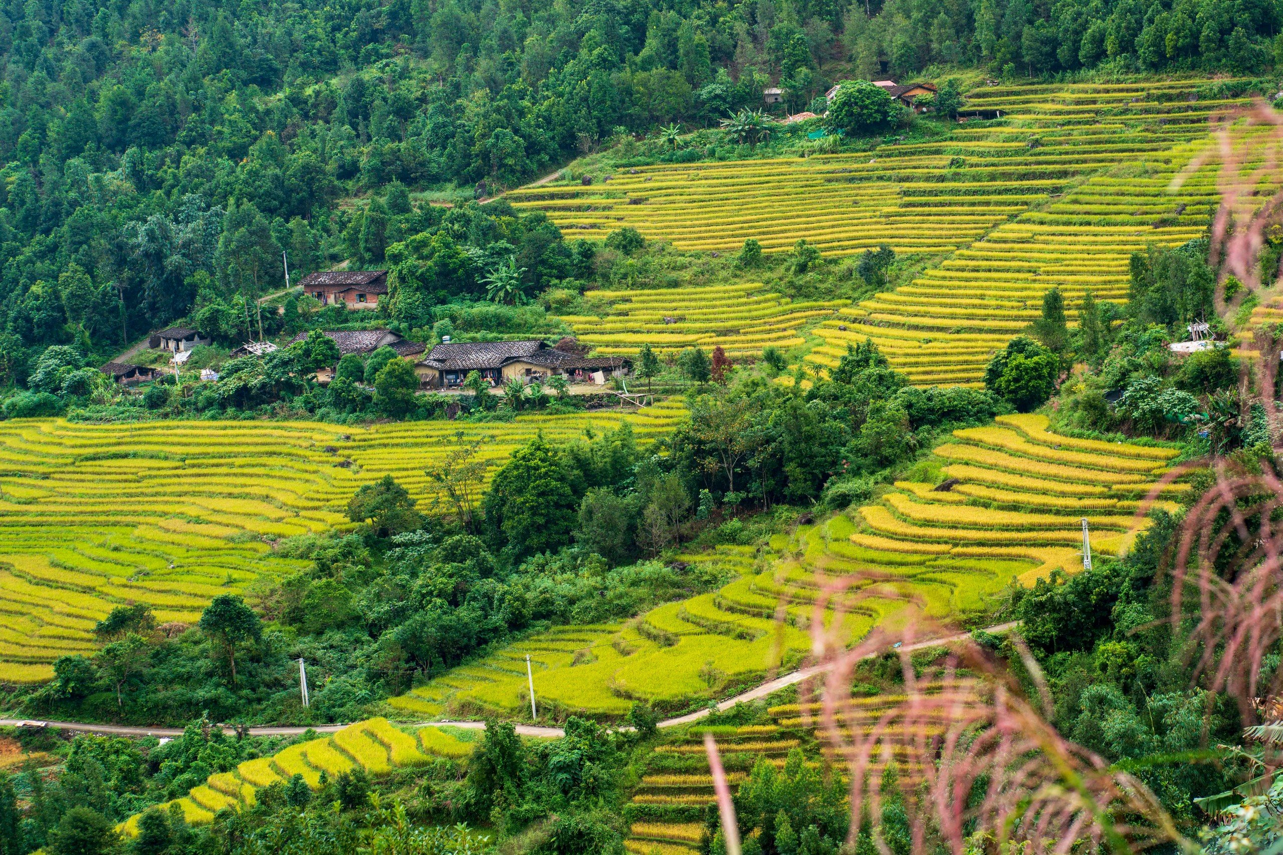 Bình Liêu – Đến là yêu Bình Liêu – Đến là yêu