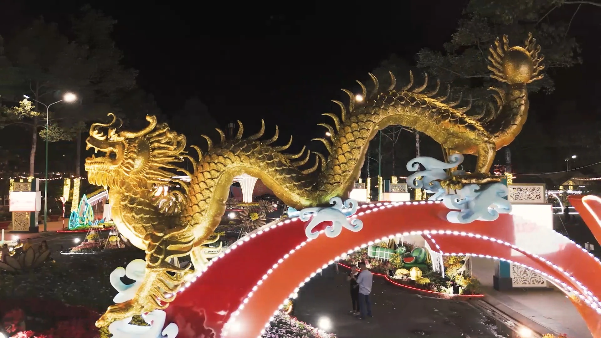 Cặp đôi rồng vàng ấn tượng ở Bình Phước: Người dân khen ‘đẹp hơn trên mạng’