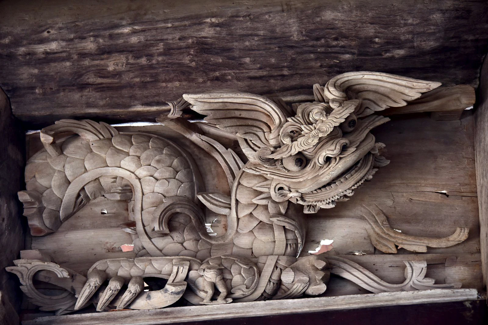 Loài rồng: Sinh vật kỳ bí với hình tượng trái ngược trong văn hóa Đông - Tây