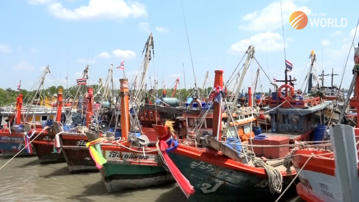 Thái Lan hạn chế đánh bắt cá thương mại ở vịnh Thái Lan từ 15/2