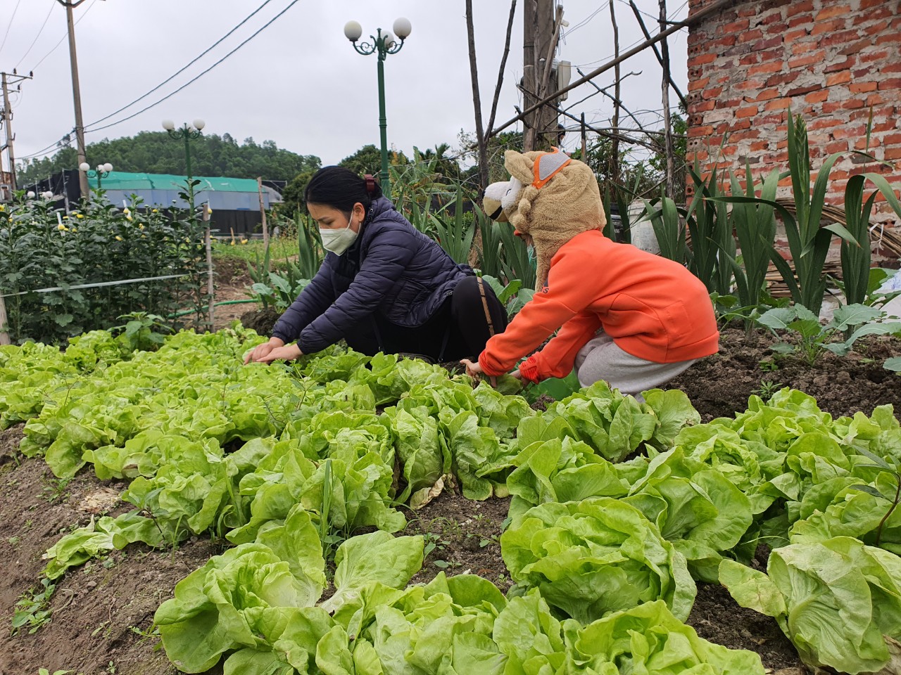 Về quê đi chợ tết chuyển khoản- Ảnh 2.