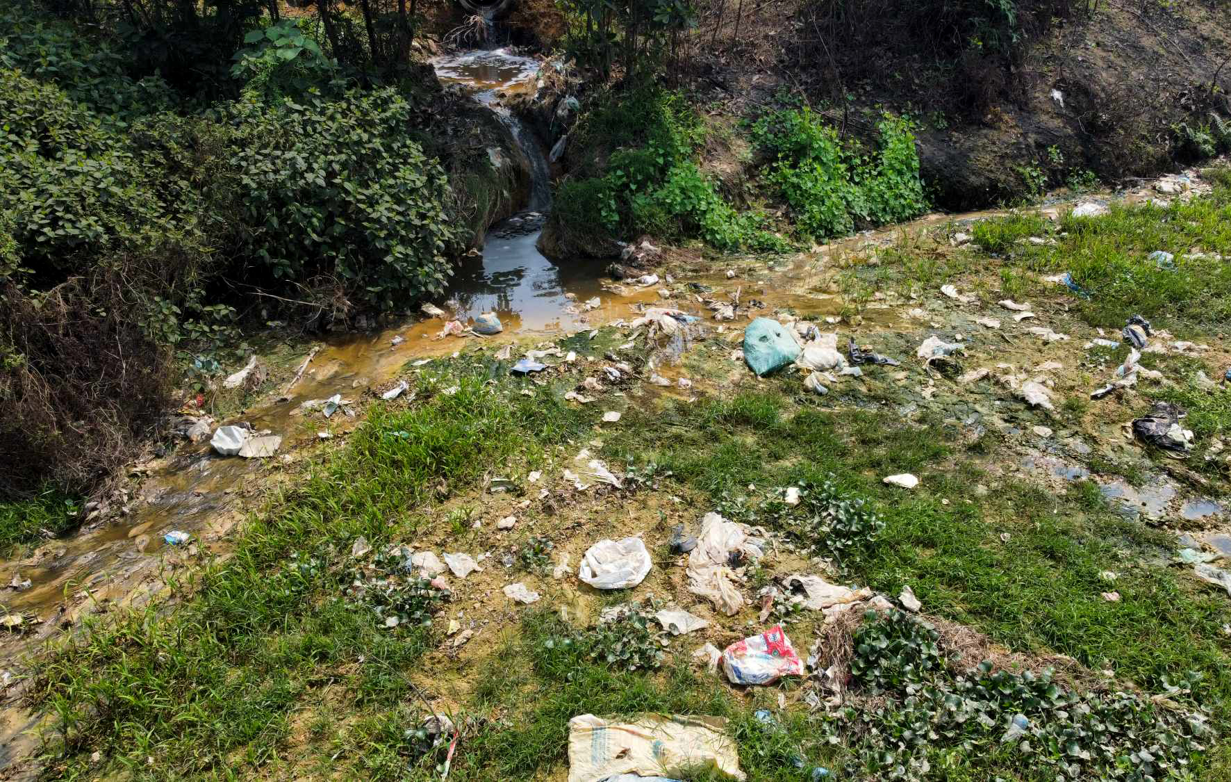 Khu xử lý rác thải 'bức tử' đồng lúa - Ảnh 2.