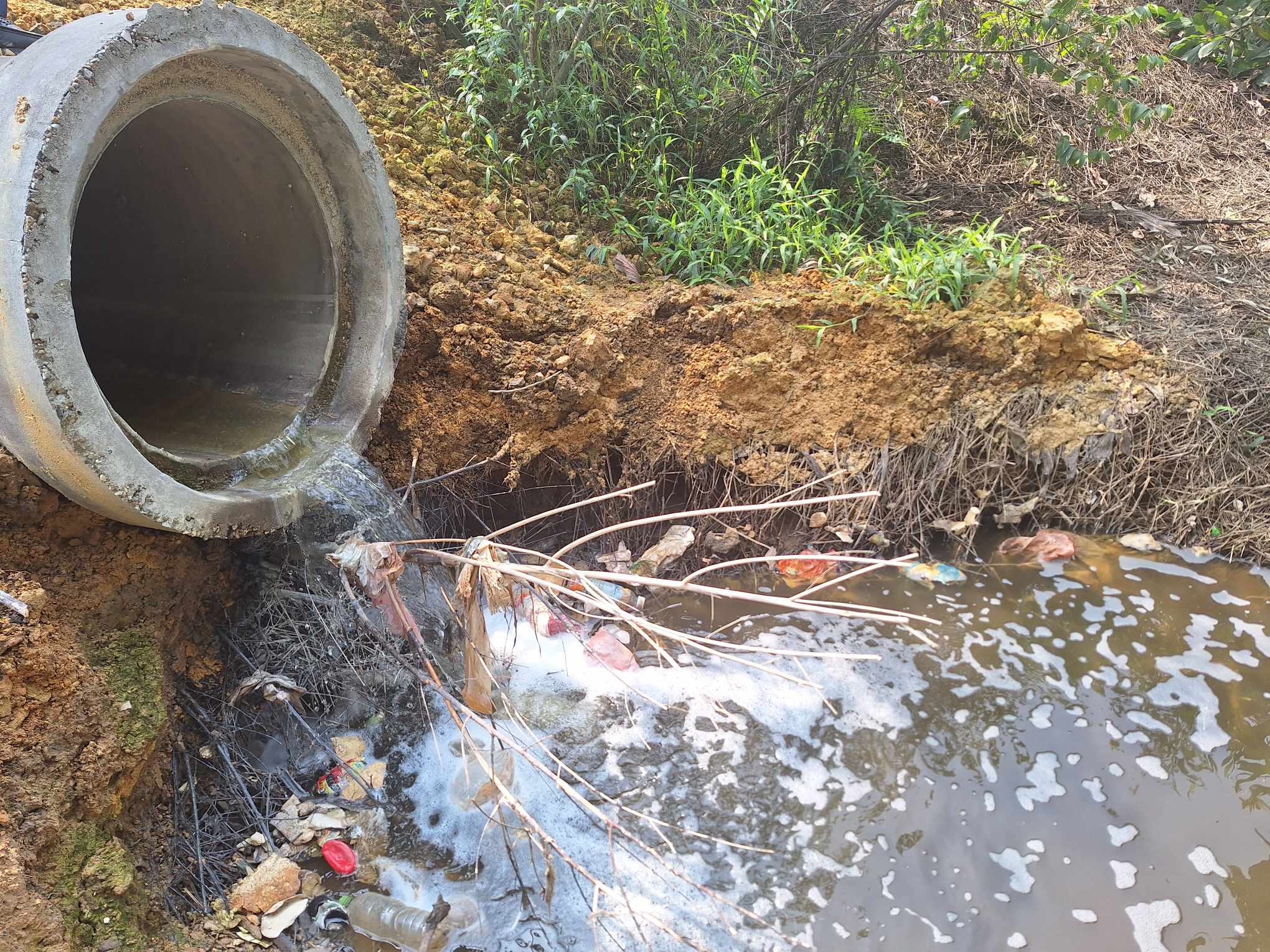 Khu xử lý rác thải 'bức tử' đồng lúa - Ảnh 3.