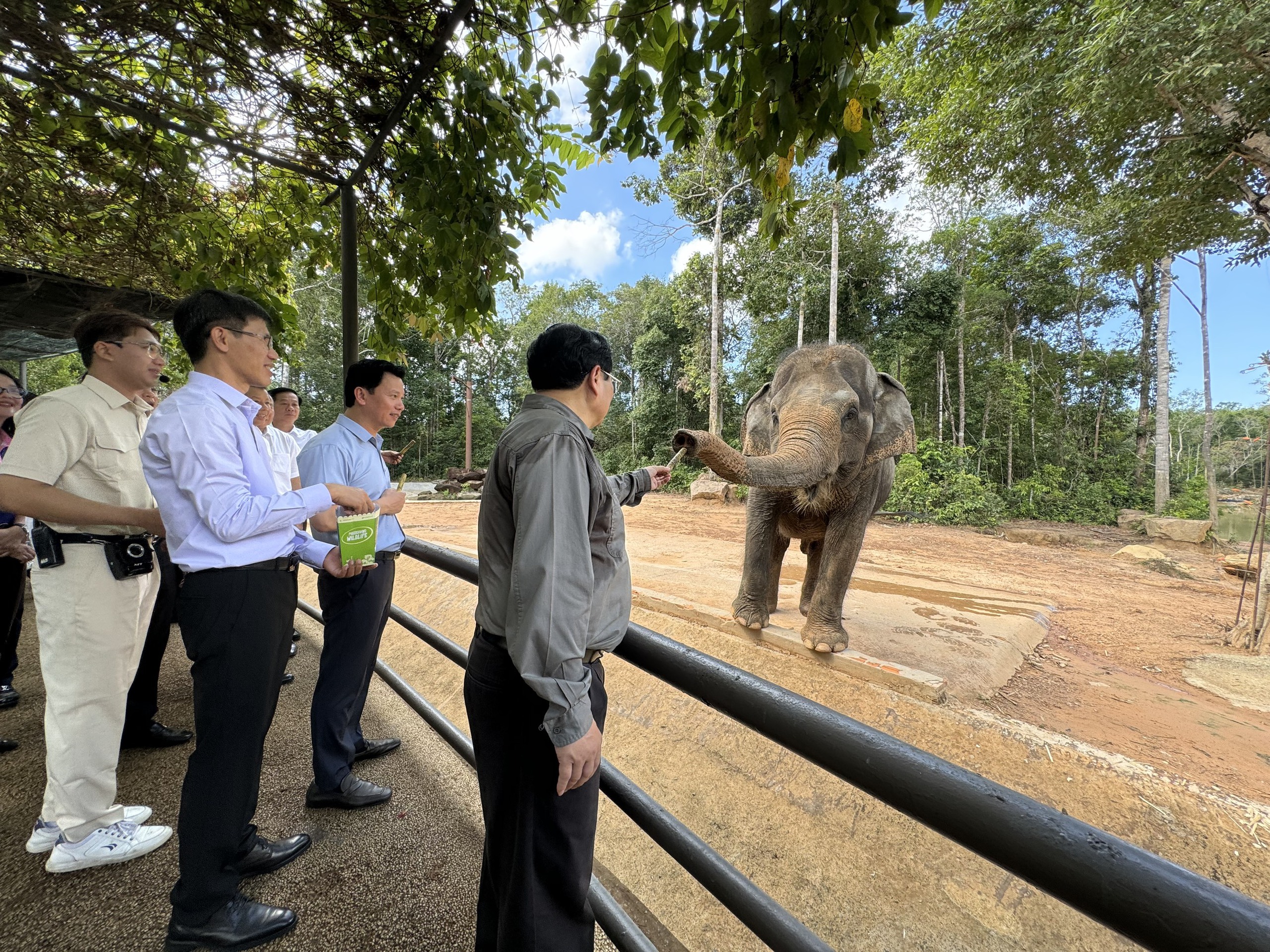 Thủ tướng Phạm Minh Chính: Phú Quốc phải phát huy được giá trị của rừng- Ảnh 5.