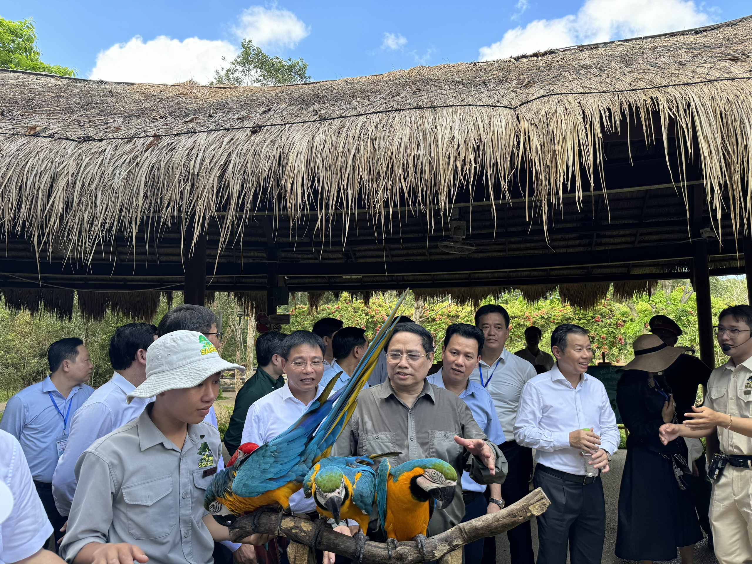 Thủ tướng Phạm Minh Chính: Phú Quốc phải phát huy được giá trị của rừng- Ảnh 4.