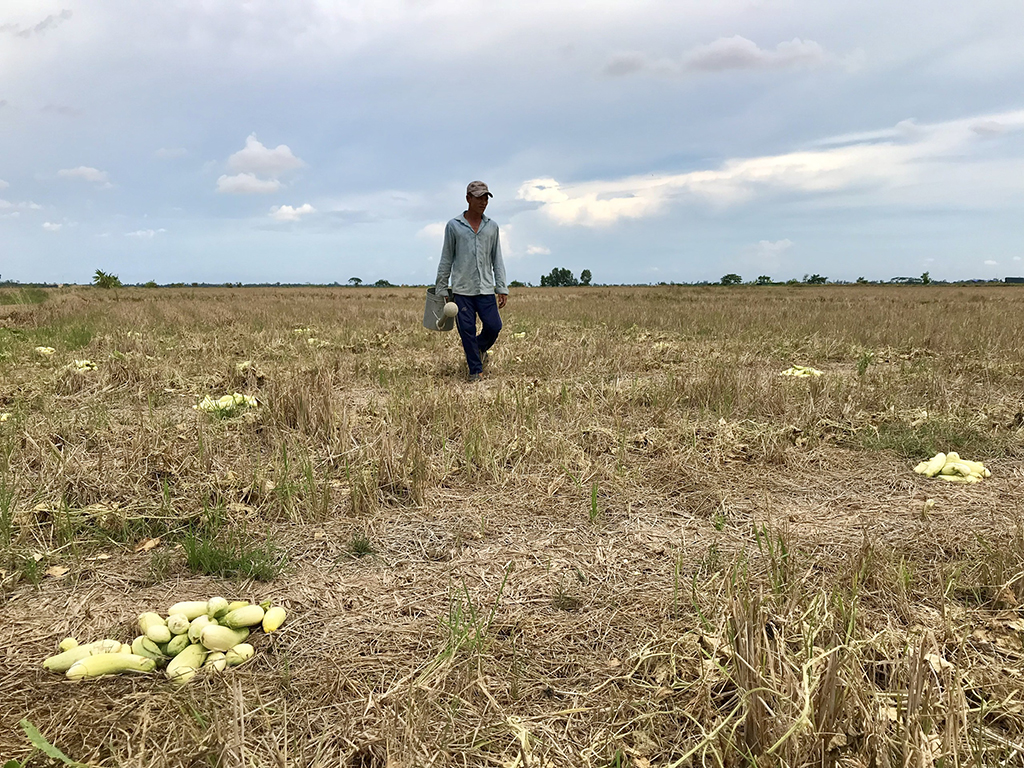 ĐBSCL chạy đua phòng chống hạn mặn- Ảnh 1. ĐBSCL chạy đua phòng chống hạn mặn- Ảnh 1.