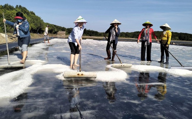 TP Hồ Chí Minh đẩy mạnh phát triển Du lịch xanh