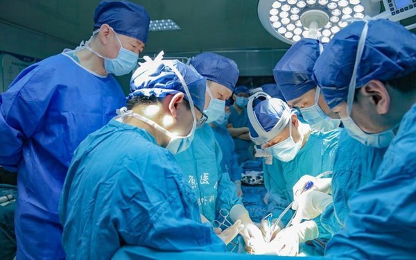 Trung Quốc ghép gan lợn chỉnh sửa gen cho người chết não đầu tiên trên thế giới Trung Quốc ghép gan lợn chỉnh sửa gen cho người chết não đầu tiên trên thế giới