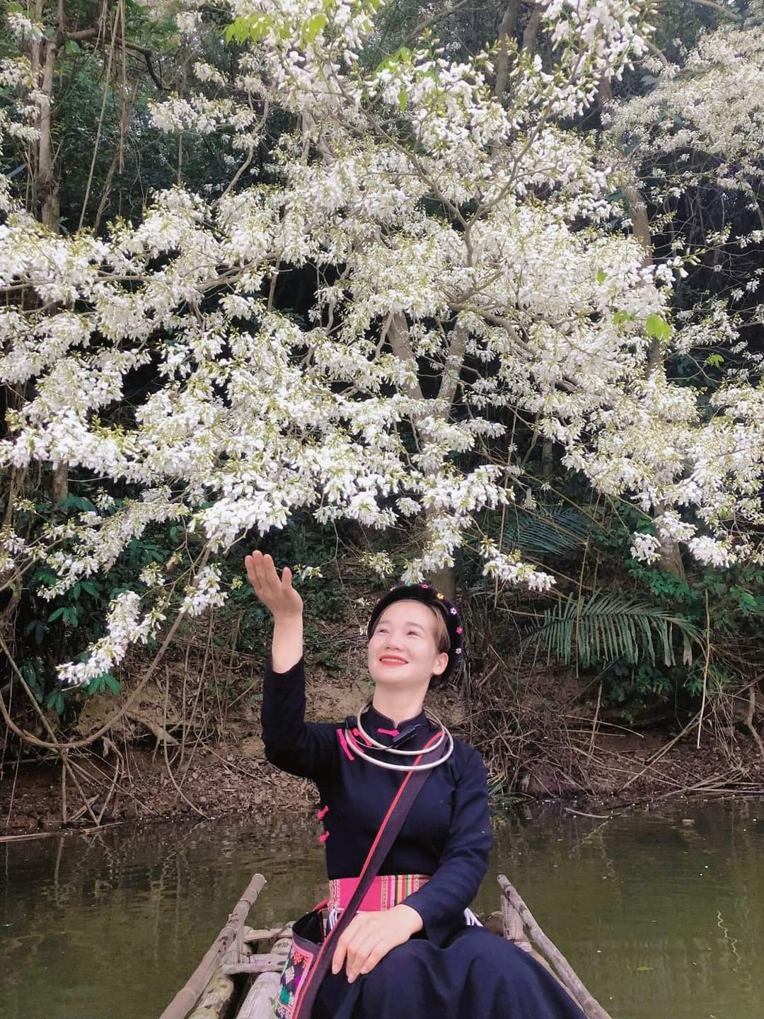 Đẹp ngỡ ngàng mùa hoa Sưa nở trắng rừng Tân Trào Đẹp ngỡ ngàng mùa hoa Sưa nở trắng rừng Tân Trào
