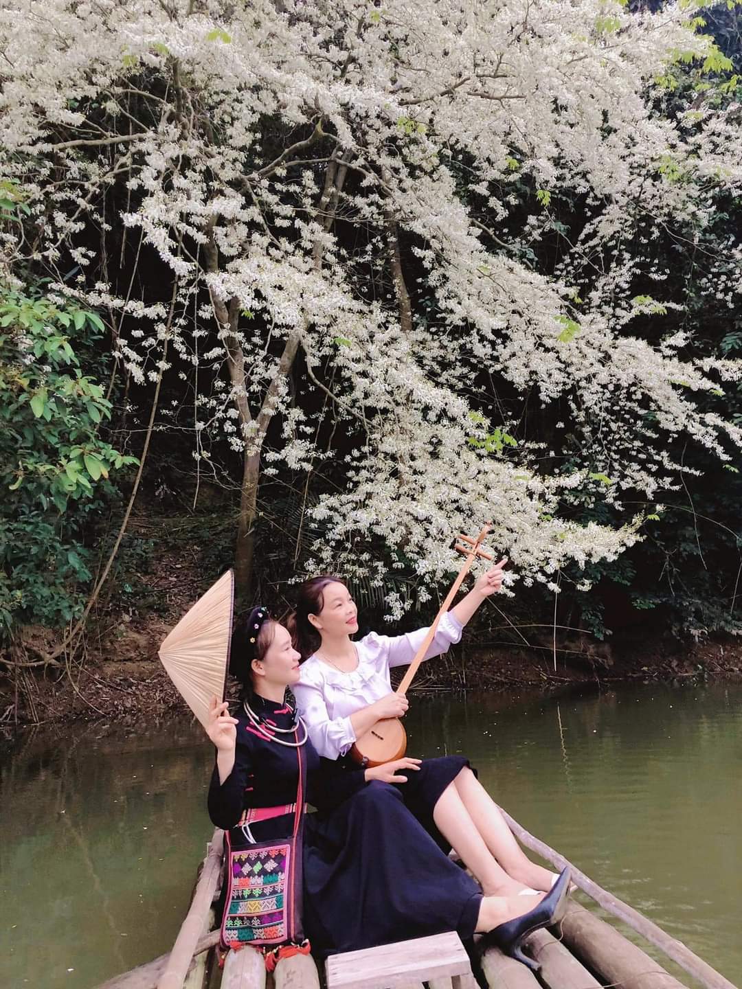 Đẹp ngỡ ngàng mùa hoa Sưa nở trắng rừng Tân Trào Đẹp ngỡ ngàng mùa hoa Sưa nở trắng rừng Tân Trào
