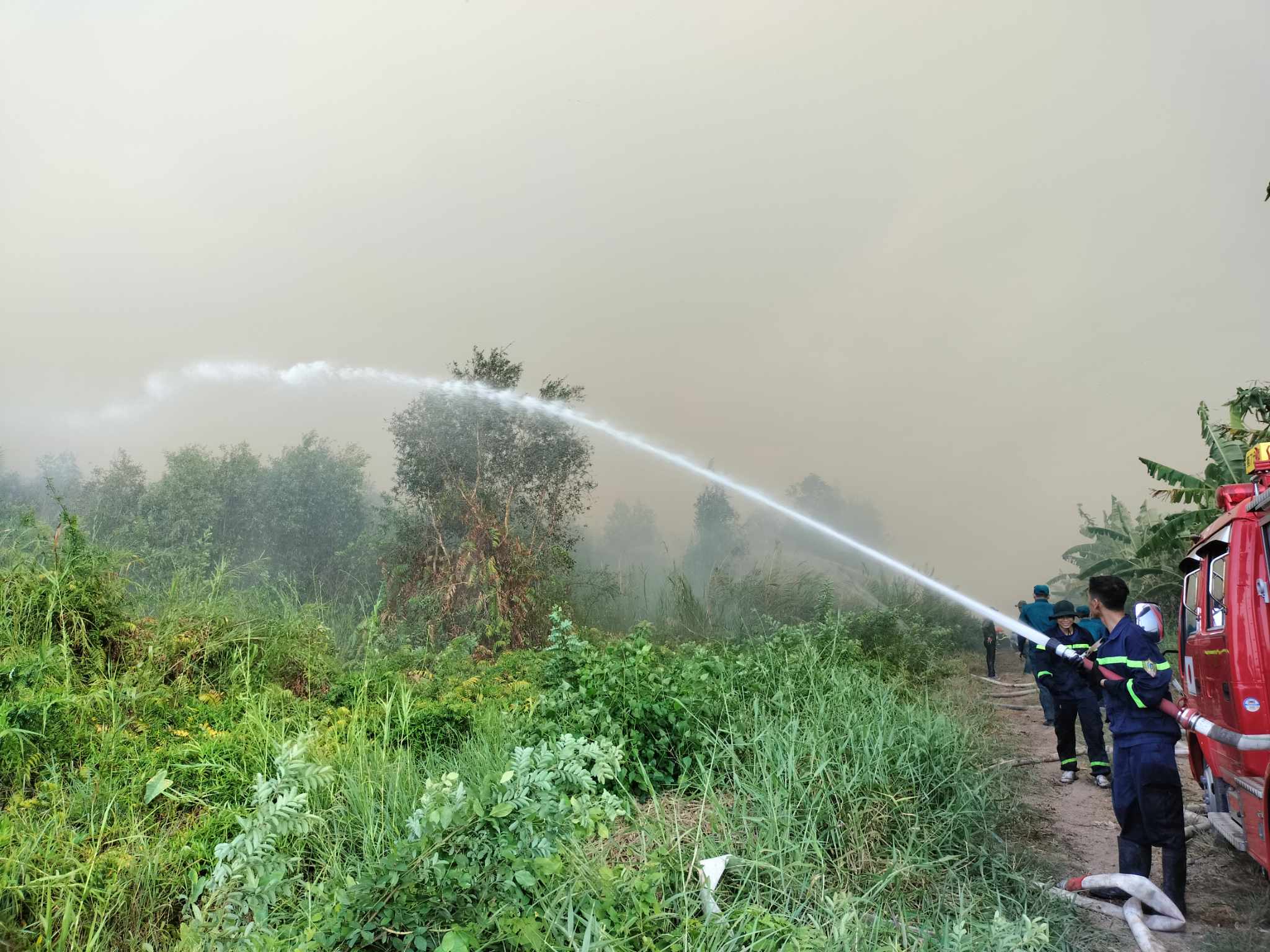 Đến 17 giờ ngày 10.4, có khoảng 40 ha rừng của Nông trường 402 bị cháy