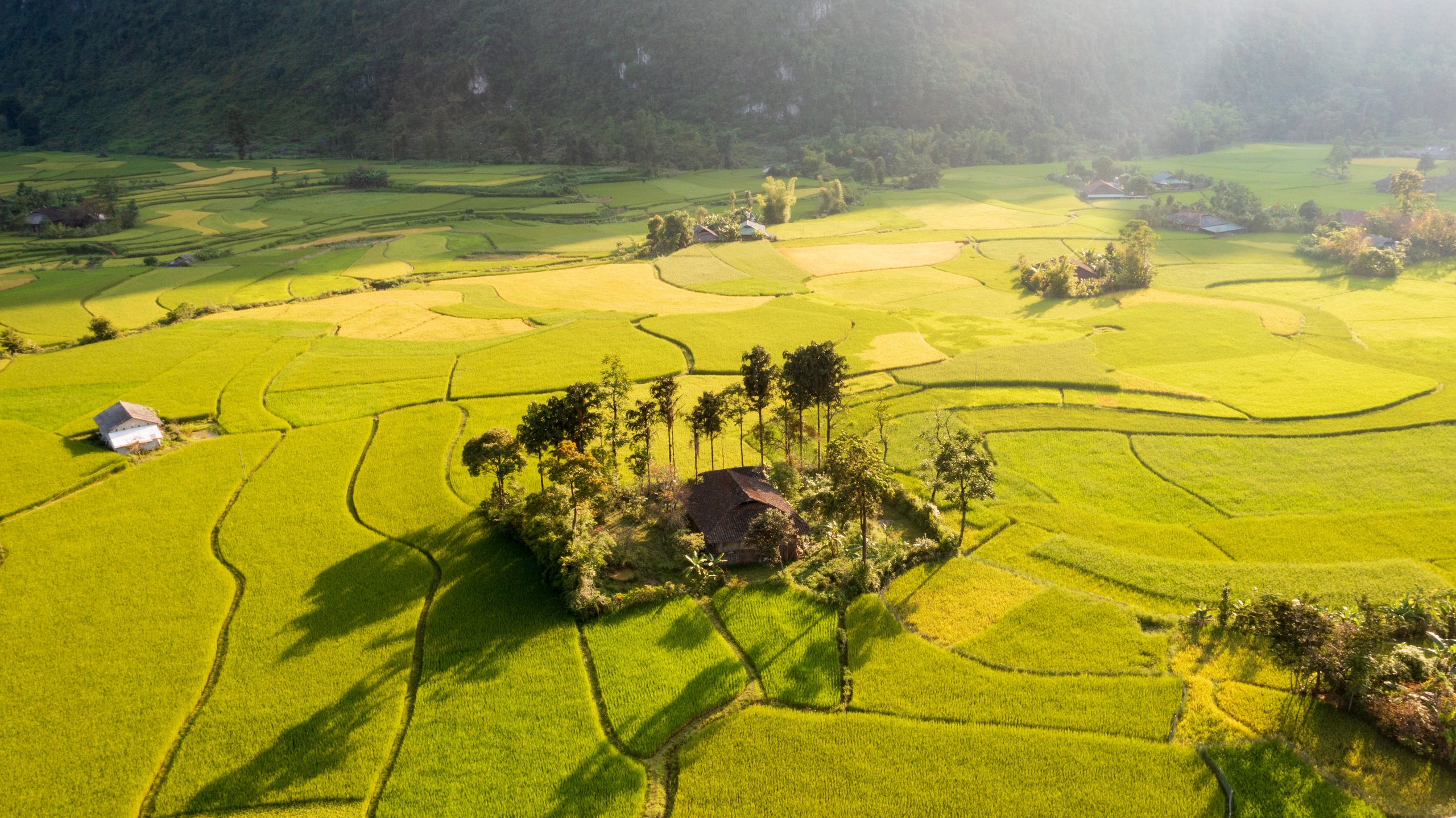 Đến Cao Bằng mùa hoa lê Đến Cao Bằng mùa hoa lê