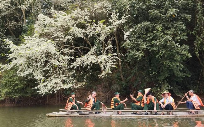 Đẹp ngỡ ngàng mùa hoa Sưa nở trắng rừng Tân Trào