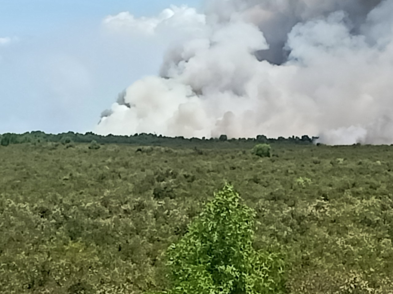 Do nắng nóng kéo dài, lớp than bùn còn âm ỉ và gió lớn khiến lửa cháy lại và lan ra các khu vực xung quanh rừng tràm