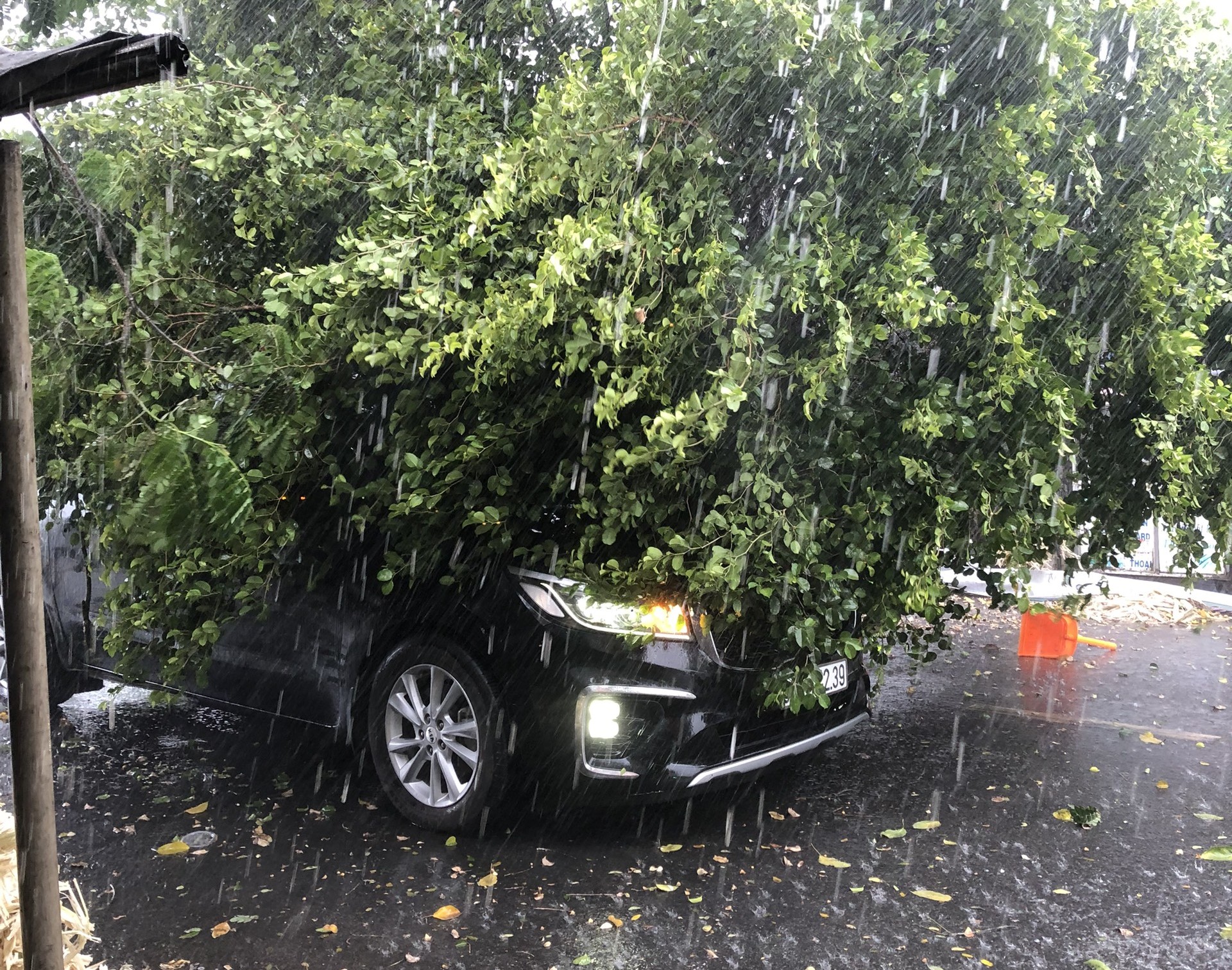 Một chiếc ô tô bị cây xanh ngã đè trên đường Đặng Công Bỉnh