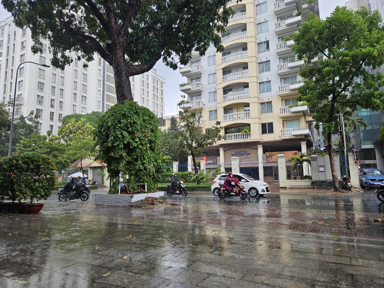 Trưa nay, TP.HCM bất chợt mưa lớn- Ảnh 5. Trưa nay, TP.HCM bất chợt mưa lớn- Ảnh 5.