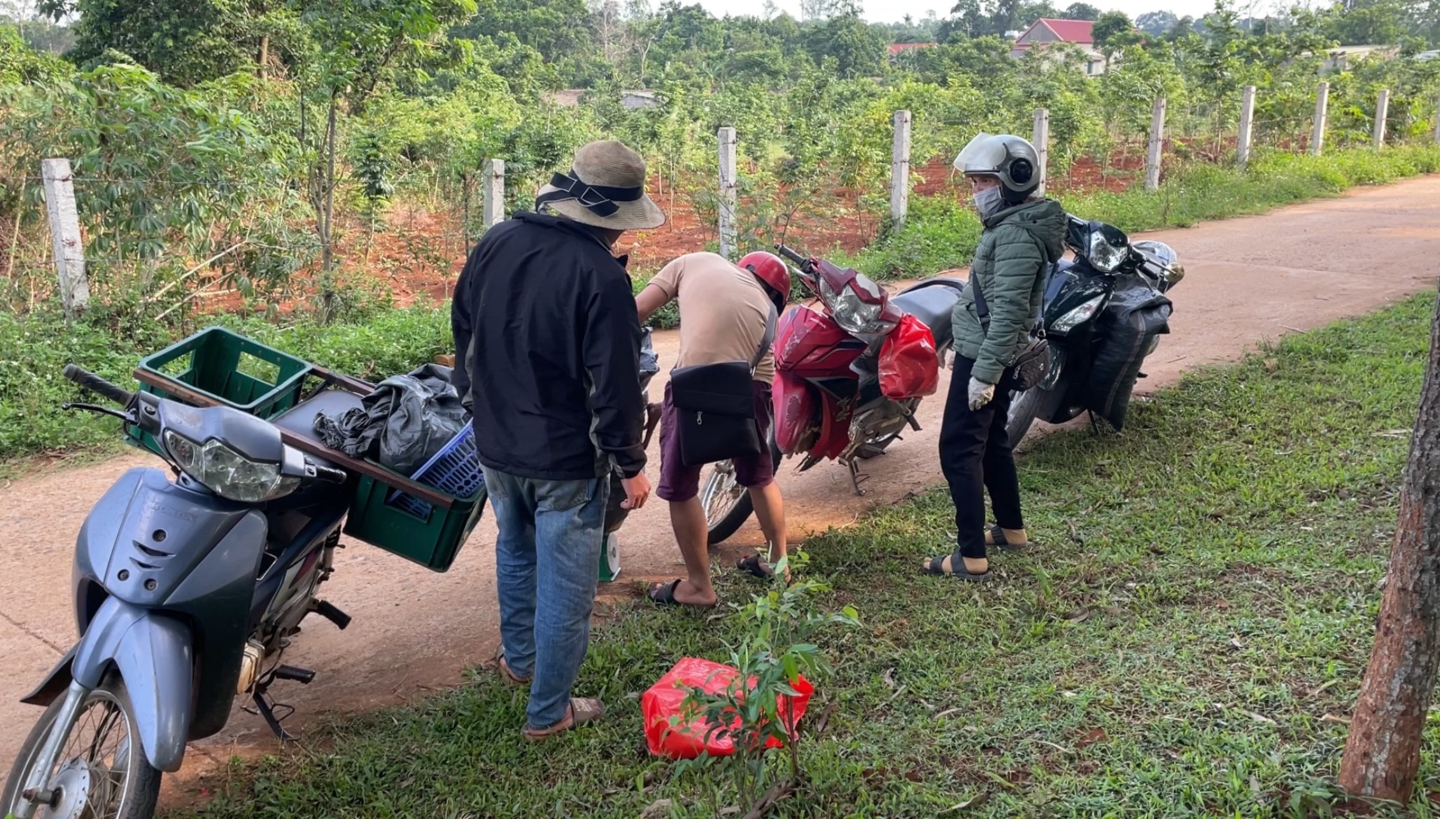 Thương lái vào trong các bản làng H.Hướng Hóa thu mua xác ve sầu