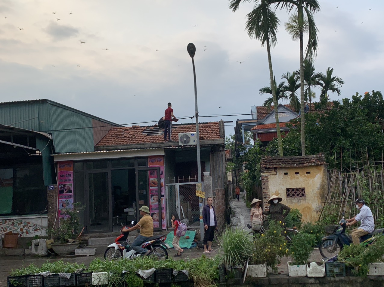 Quảng Ninh: Lại xuất hiện lốc xoáy thổi tốc mái hàng chục căn nhà- Ảnh 9.