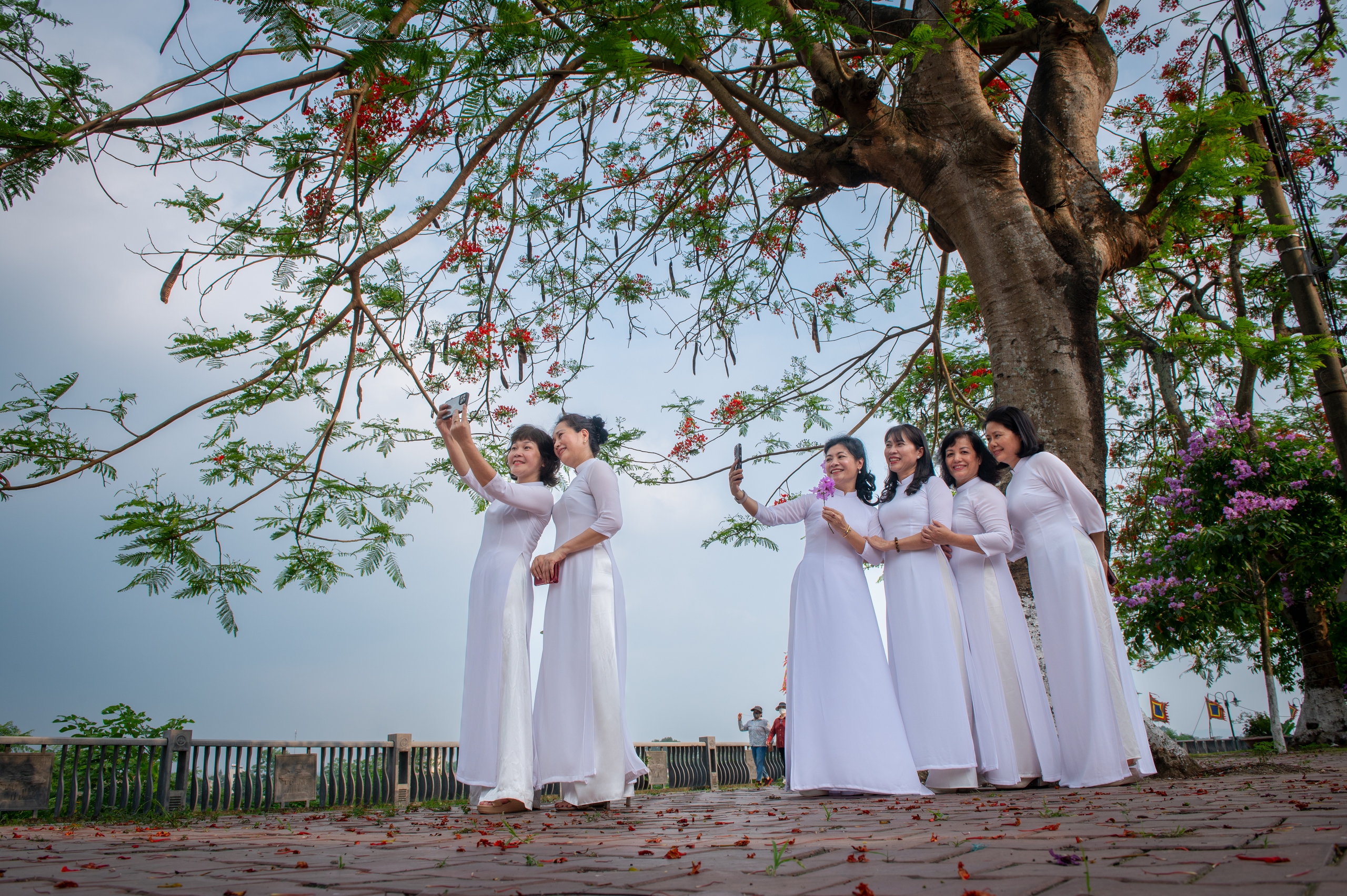 Nồng nàn sắc hoa mùa hạ Nồng nàn sắc hoa mùa hạ