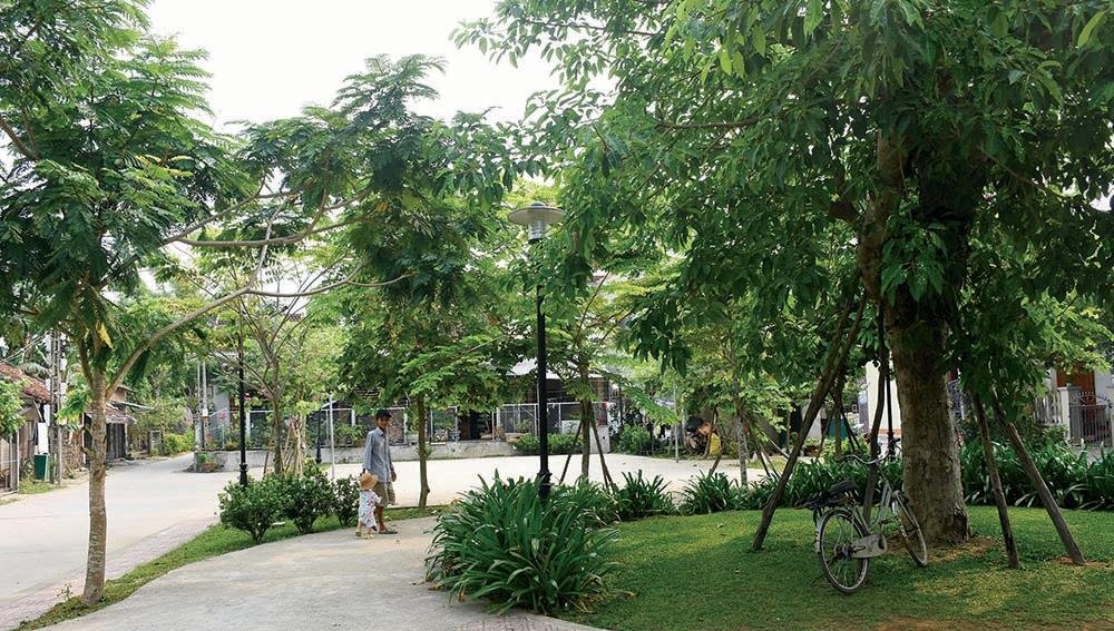 Cây xanh ở TP.Quảng Ngãi