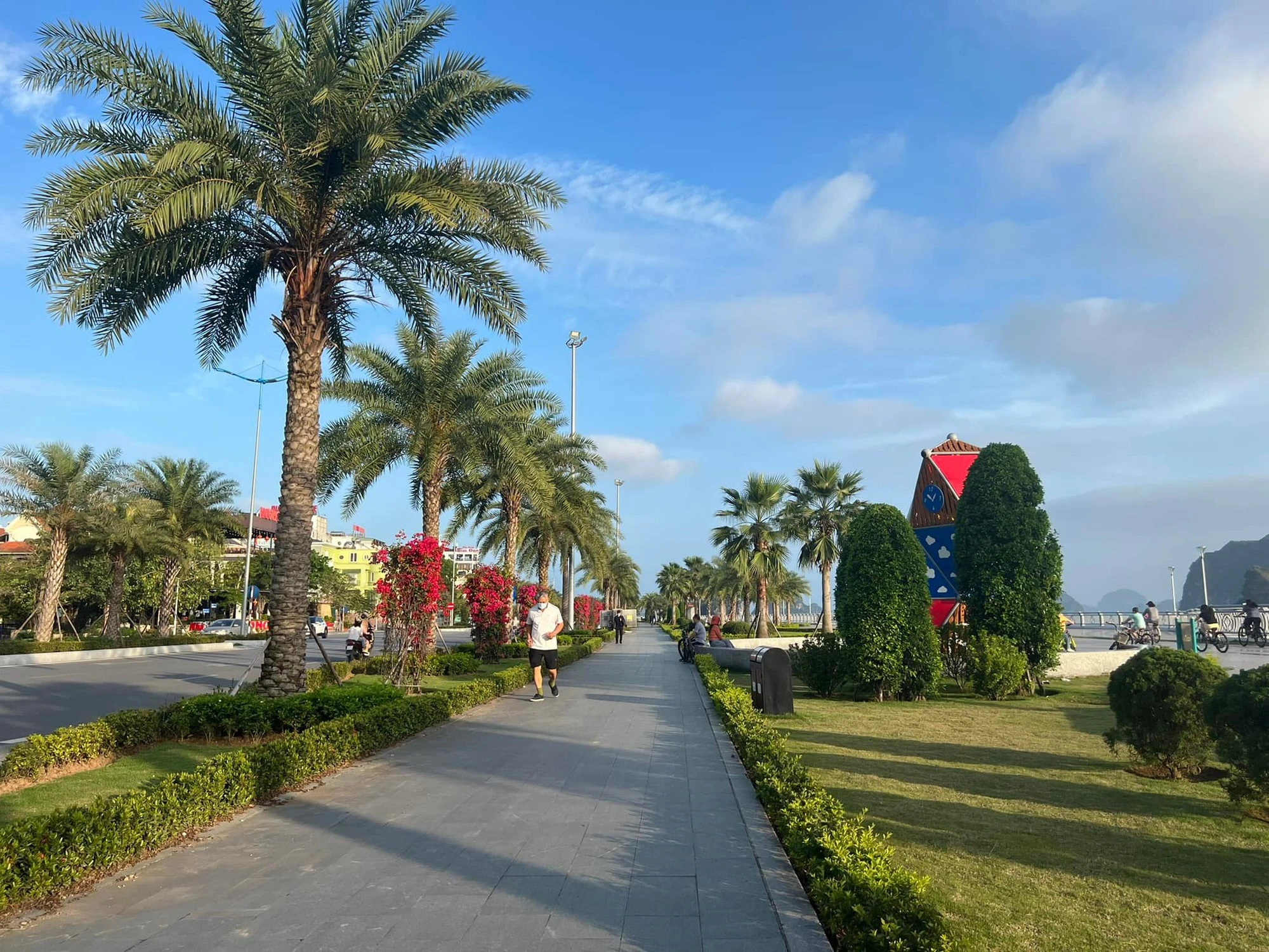 Bộ Công an yêu cầu rà soát dự án liên quan Công ty Công Minh tại Quảng Ninh - Ảnh 1.