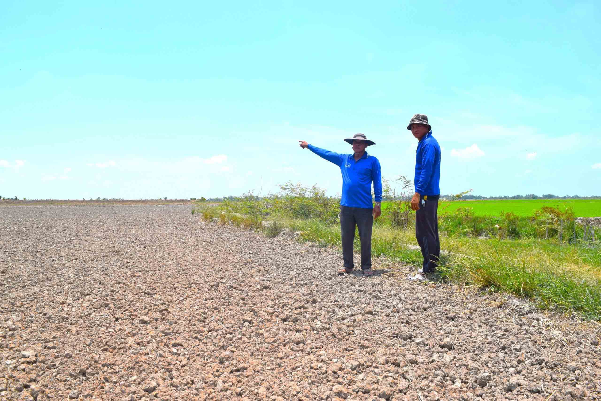 Người dân bỏ khoảng 180 ha đất không gieo sạ vụ lúa hè thu để phản đối chủ Trạm bơm Tân Hòa thu giá bơm nước quá cao
